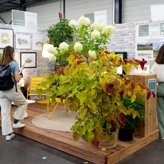 Des jardins adaptés au changement climatique au Salon Habitat Angers 2024