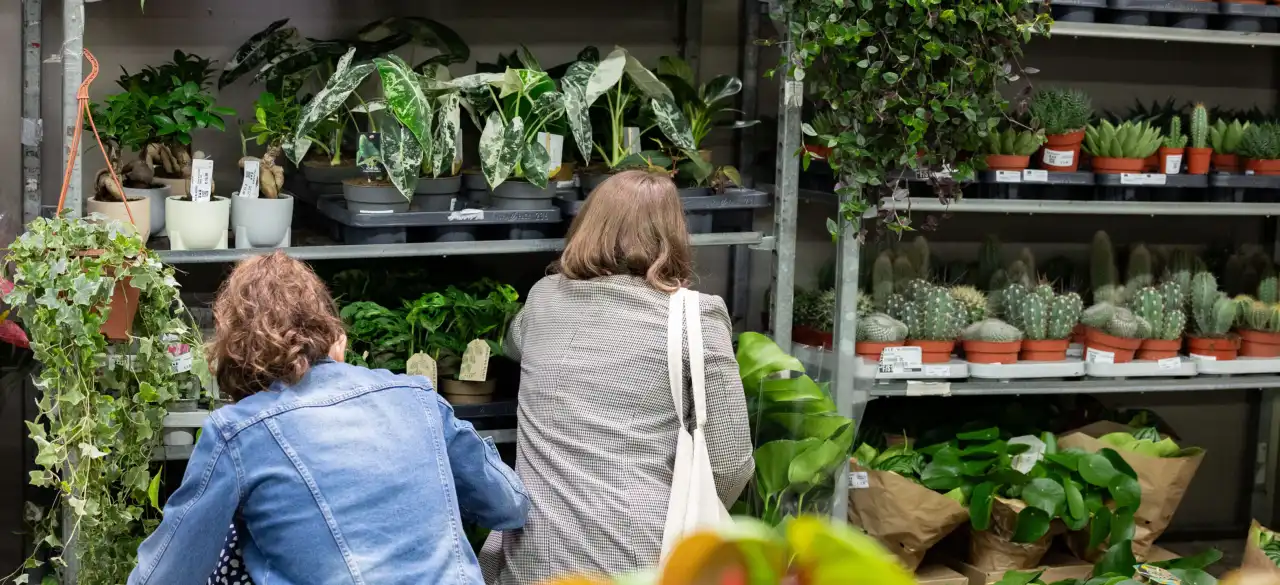 Des rayons de plantes d'intérieur au Salon Habitat Angers 2024