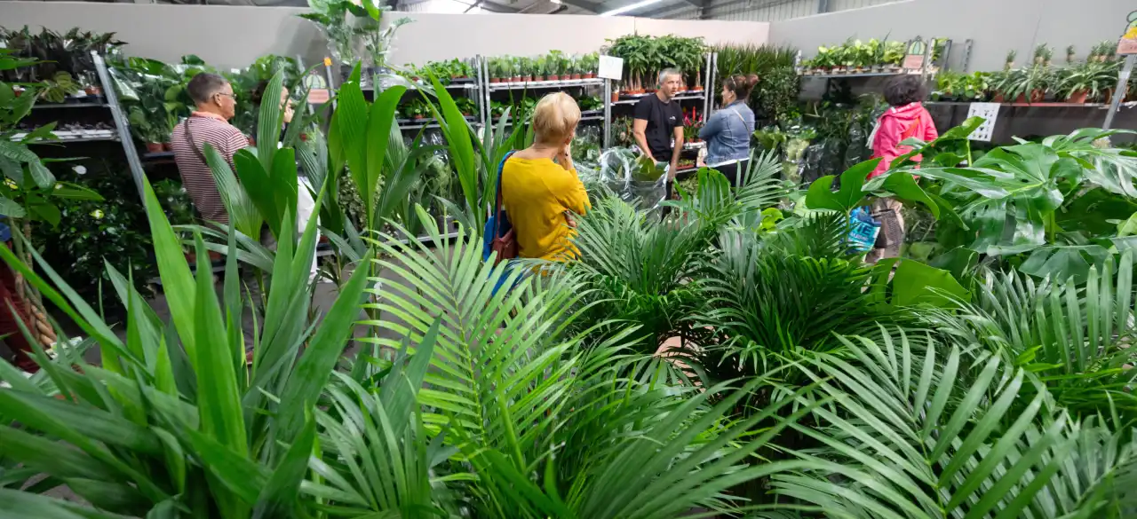 Une grande quantité de plantes d'intérieur en vente au Salon Habitat Angers 2024